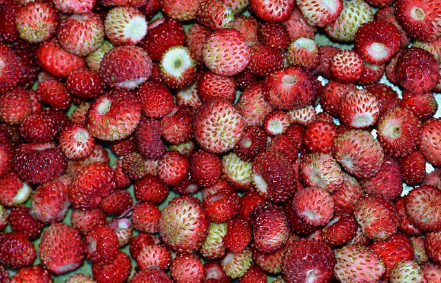 fraises